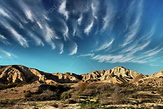 The desert