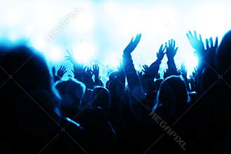 Crowd Cheering at the Concert