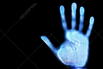 Scan of human hand