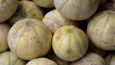 fresh organic muskmelon from farm close up from different angle