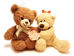 Couple of teddy-bears & rose