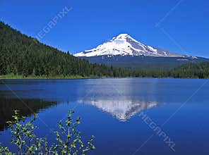 Mt. Hood reflection