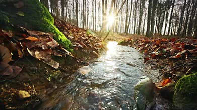 Following a small stream towards the sun