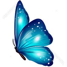 A Butterfly illustration image.