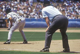 Professional Umpire watching Baseball game