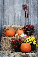Pumpkins on Straw Bales