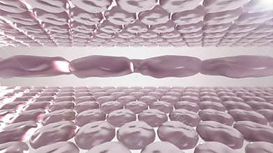 Skincare 3d animation. Effect after beauty treatment