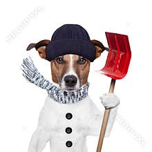 Winter dog shovel snow