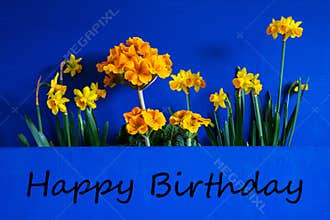 Spring Flowers, Narcissus, Text Happy Birthday, Blue Wooden Background