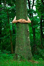 Tree hugger environmentalist