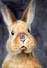 Watercolor illustration of a fluffy cute fawn rabbit with a blue butterfly