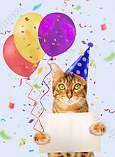 Red cat in a festive cap against the background of balloons