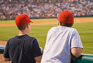 Baseball Fans