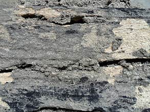 Hi-resolution grunge wood texture image