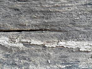 Hi-resolution grunge wood texture image