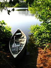 Afternoon fishing trip