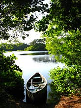 Afternoon fishing trip