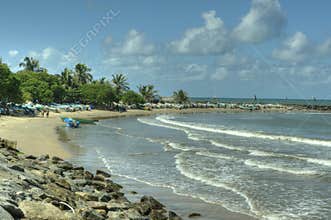 Negombo, Sri Lanka - Street view - goats