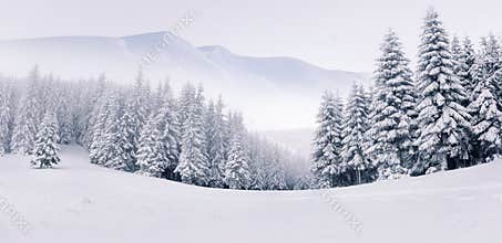 Panorama of the foggy winter landscape
