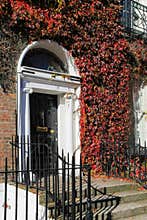 Georgian door surrounded by ivy. Dublin . Ireland