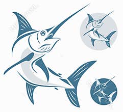 Marlin fish