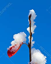 First snow