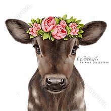 Baby cow in floral wreath. Brown cow portrait