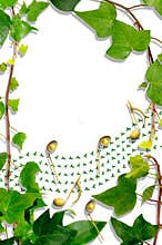 Ivy border and holly musical stave.