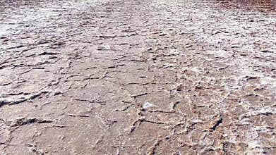 Another world on Earth