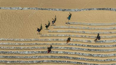 Workers are drying rice under the hot sun.