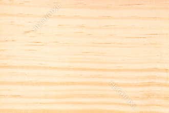 Pine Wood Texture