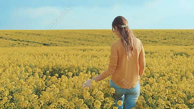 woman walks field turned away. Gently touches hand blooming yellow rape