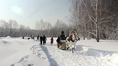 Horseback Russian sleigh in winter, Russia