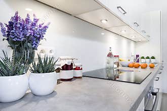 Modern kitchen interior design