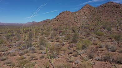 Aerial view of Baja California Sur wilderness area with cacti