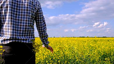 farmer in mustard field. Selective focus.