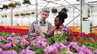 Botanists Inspecting Flowers