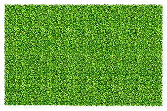 Green grass field background. Texture of green lawn grass. Green grass seamless texture