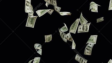 Banknotes money flying and dollar bills falling top to bottom like rain animation.
