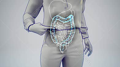 3D animation of a woman\'s gut