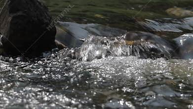 Water stream in the river flowing through stone.