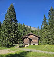 The wooden house in the wood on the San Bernardino mountain