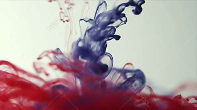 Dynamic Ink Flow: Abstract Fluid Art in Motion