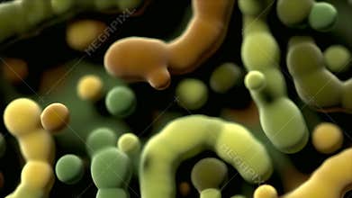 Cinematic 3D Animation of Diverse Bacteria and Microbes Floating in a Microscopic Environment