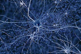Digital illustration neurons