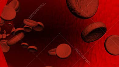 Blood Running though human Veins