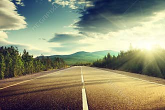 Road in summer forest
