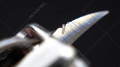 Extreme Close-Up: Razor Sharp Edge Detail and Precision Craftsmanship