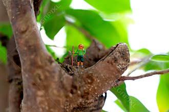 Tiny hiker figurine with backpack and walking stick stands on a tree branch