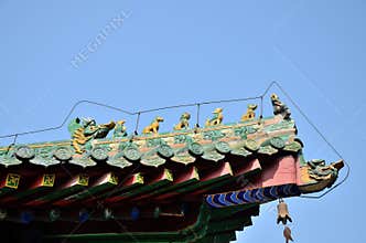 Ridge beast in shaolin